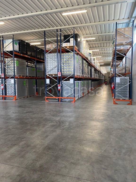 immagine annuncio 2 di 8