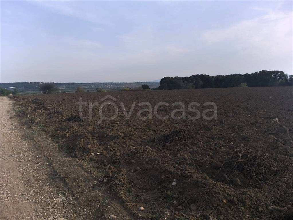 Terreno Agricolo in vendita a Fossacesia via Cacciaticchi