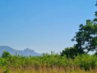 Terreno agricolo in vendita a calatabiano via san marco