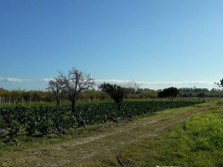 Terreno agricolo in vendita a calatabiano via san marco