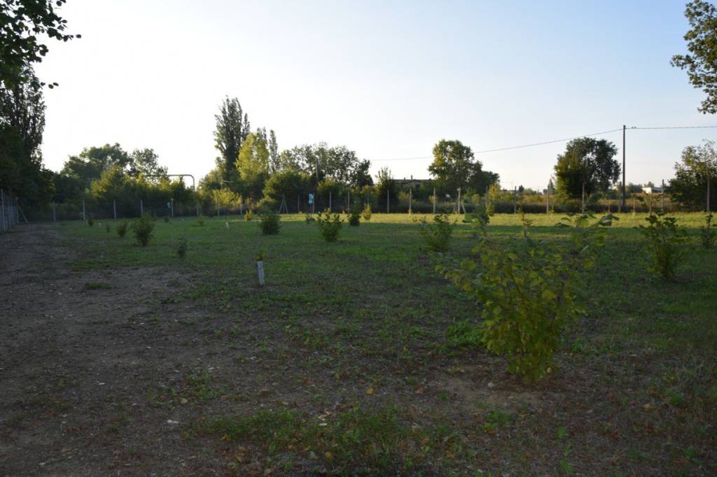 Terreno Agricolo in vendita a Foligno via della Rotta, 18