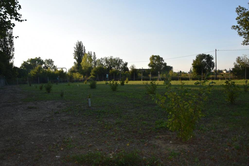 immagine annuncio 2 di 3