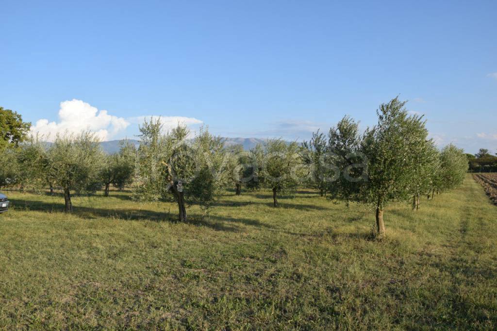 Terreno Agricolo in vendita a Foligno via Monte Priora