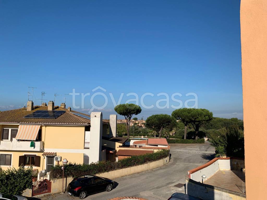 immagine annuncio 5 di 11