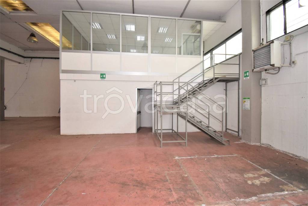 immagine annuncio 5 di 12