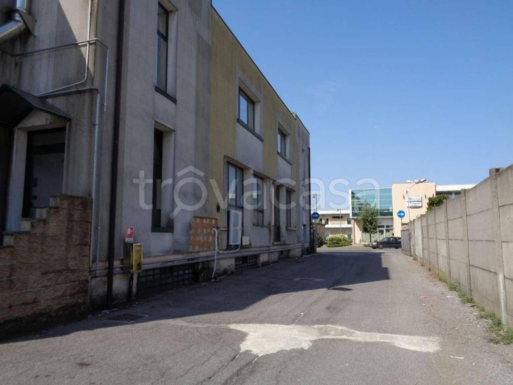 immagine annuncio 3 di 14