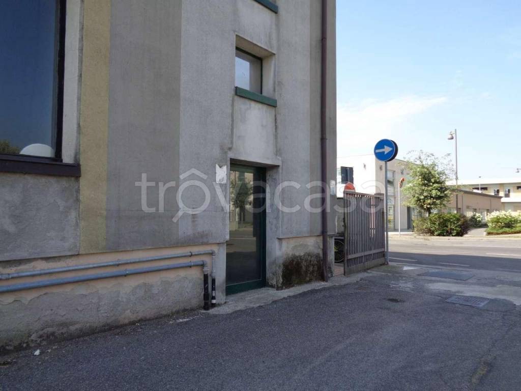 immagine annuncio 5 di 14