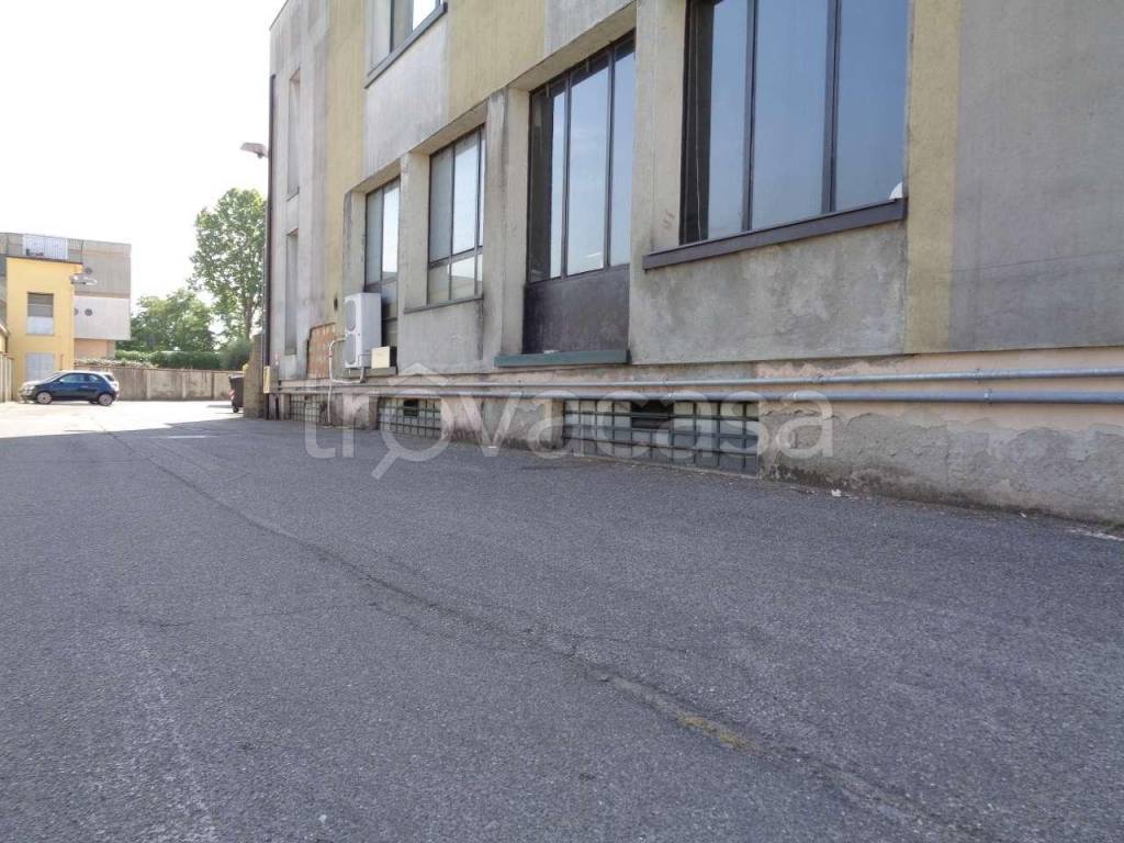 immagine annuncio 6 di 14