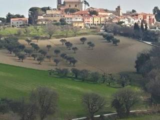 Terreno agricolo in vendita a senigallia senigallia