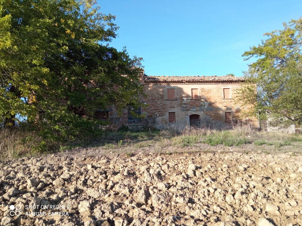 Casale in in vendita da privato a Pergola via Località Serraspinosa