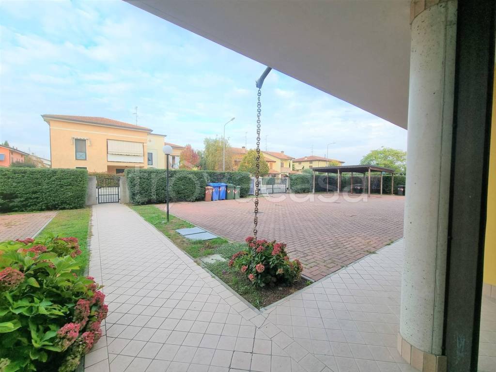 immagine annuncio 11 di 14