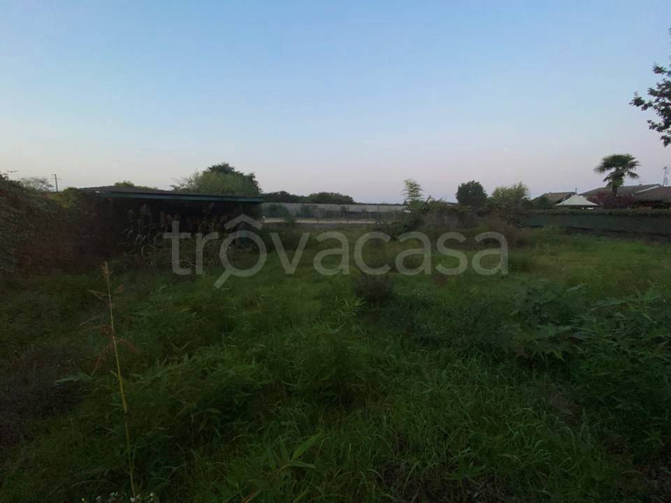 immagine annuncio 1 di 6