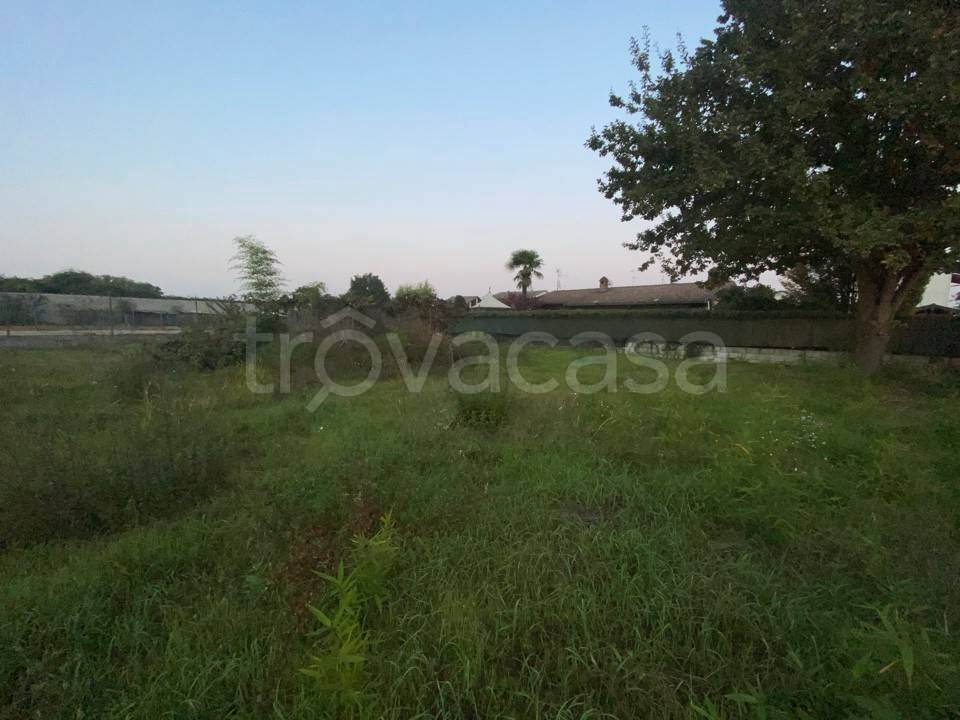 immagine annuncio 3 di 6