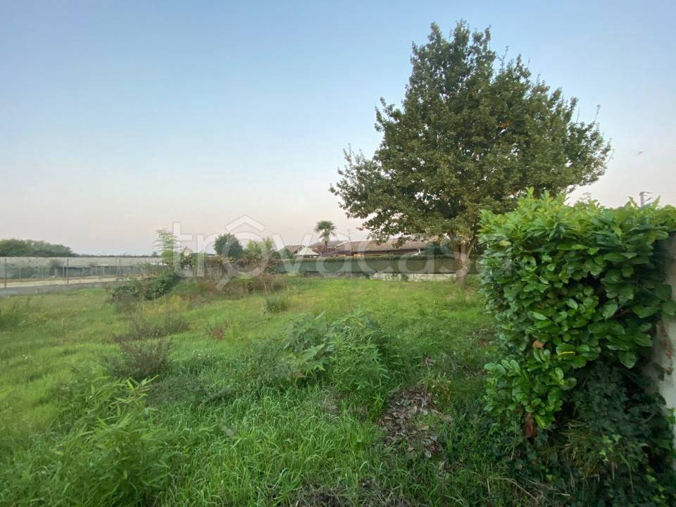 immagine annuncio 4 di 6