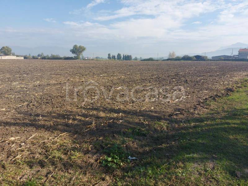 Terreno Agricolo in vendita a Capaccio Paestum via Sabatella
