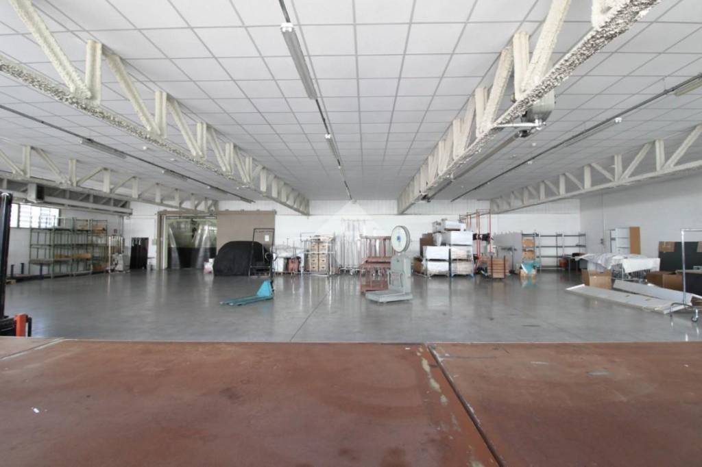 immagine annuncio 12 di 15