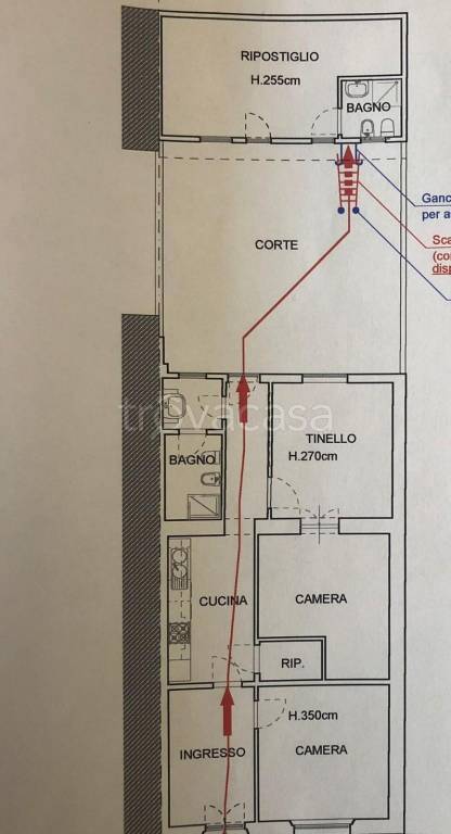 immagine annuncio 2 di 12