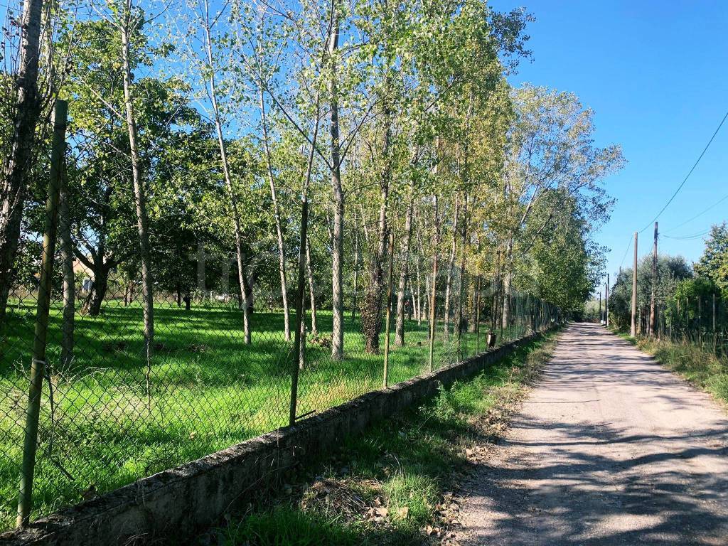 Terreno Agricolo in vendita a Somma Vesuviana via Sant'Anna