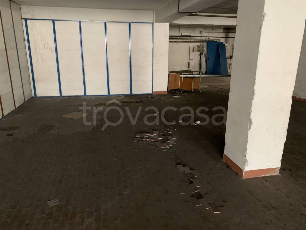 immagine annuncio 5 di 13