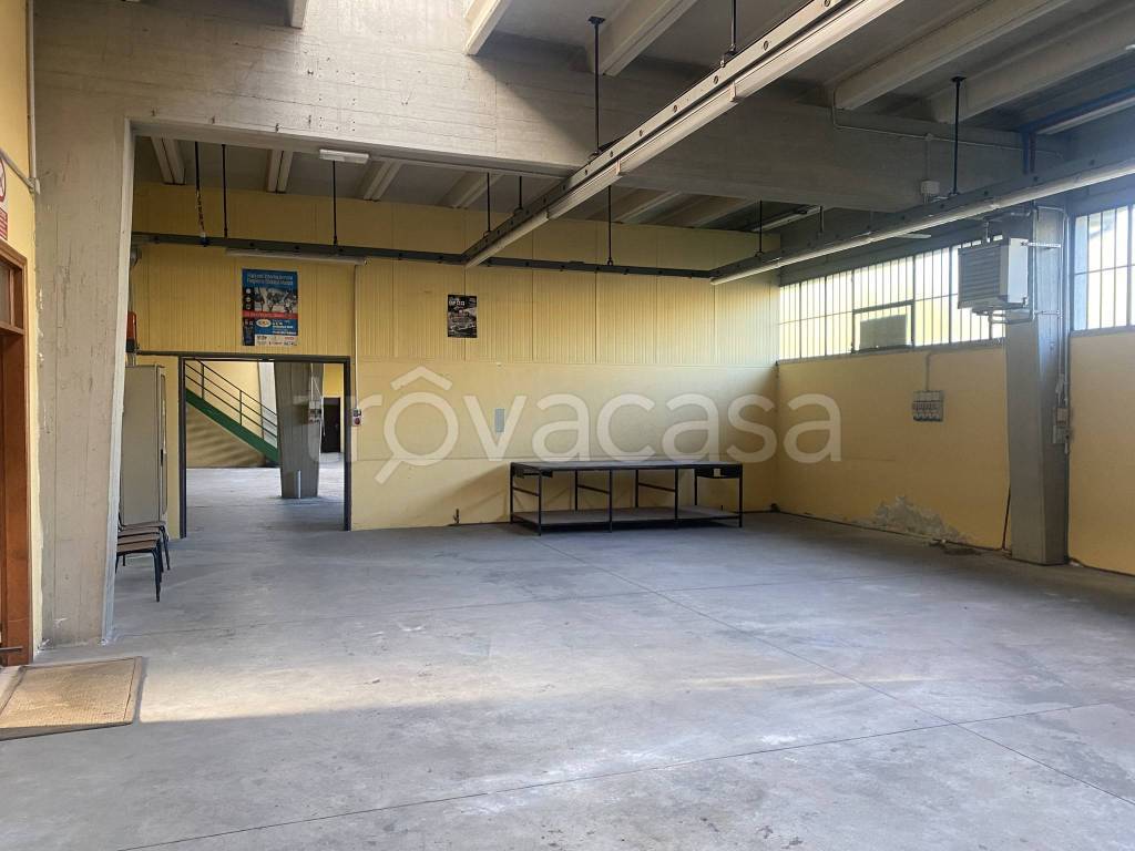 immagine annuncio 9 di 12