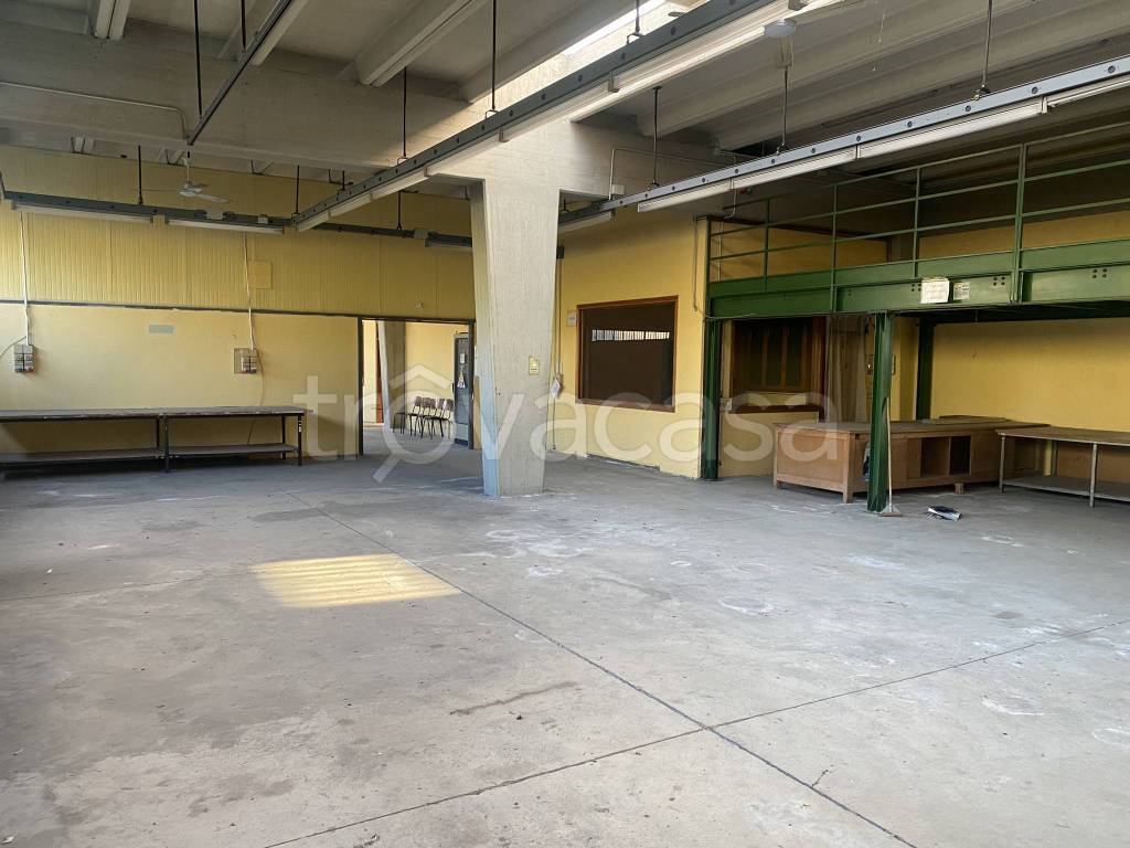 immagine annuncio 6 di 12