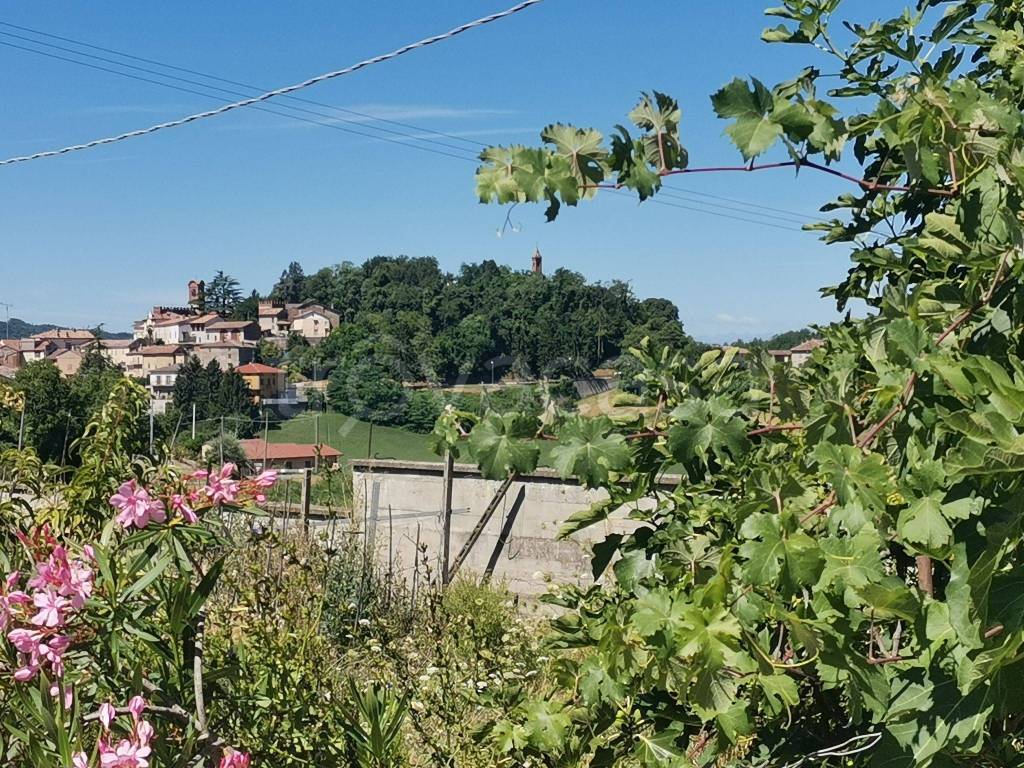 Casale in in vendita da privato a Sala Monferrato via Cellamonte