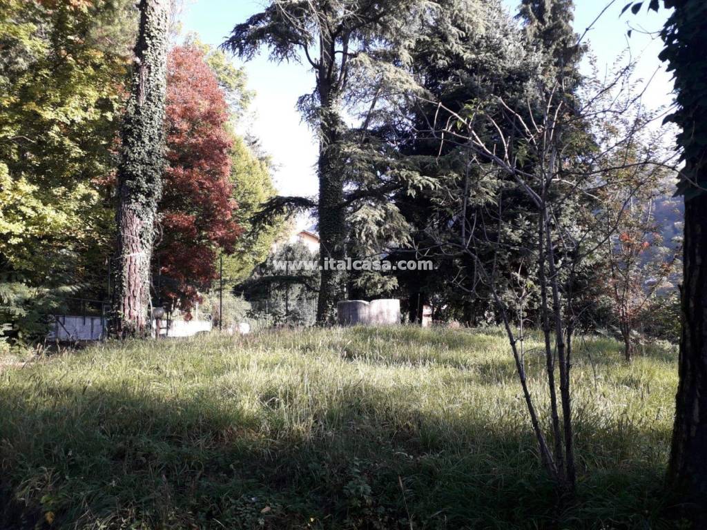 immagine annuncio 4 di 7