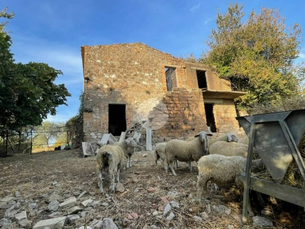 Rustico in vendita a Calvi dell'Umbria via Vocabolo Striano