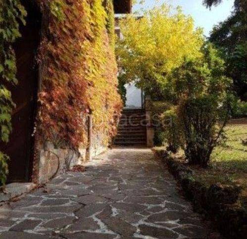 immagine annuncio 6 di 14