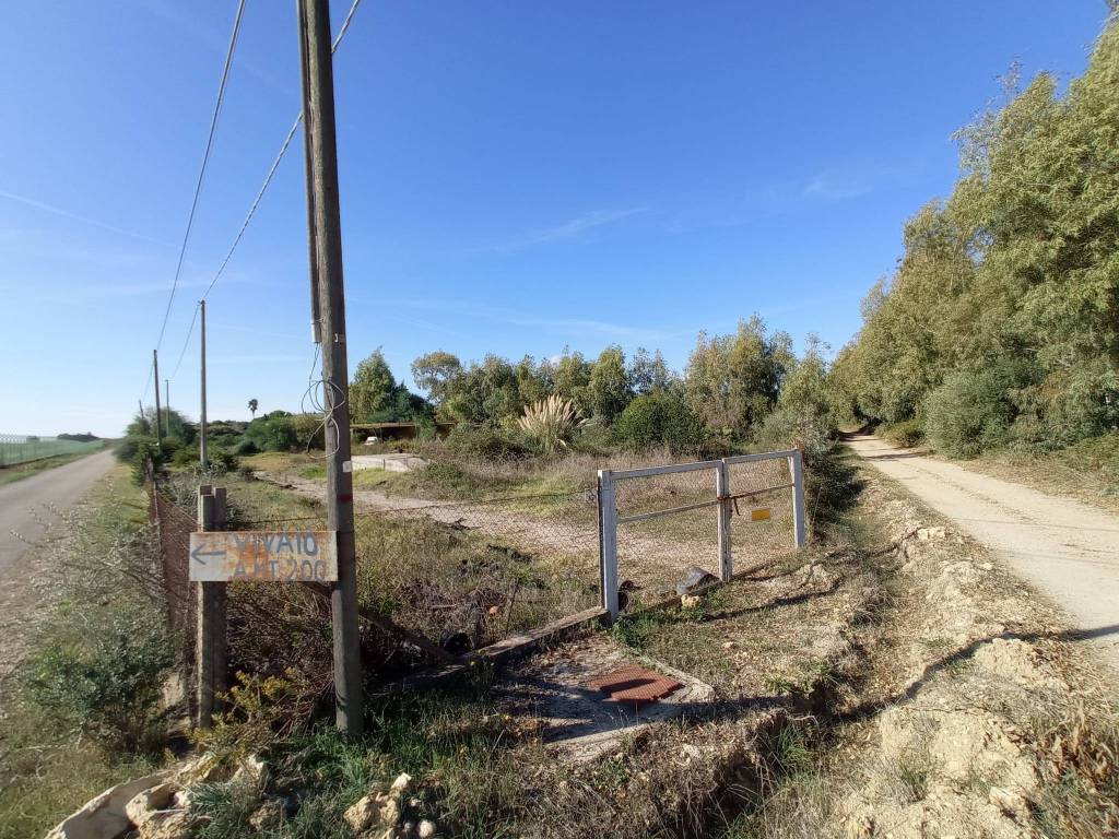 immagine annuncio 1 di 10