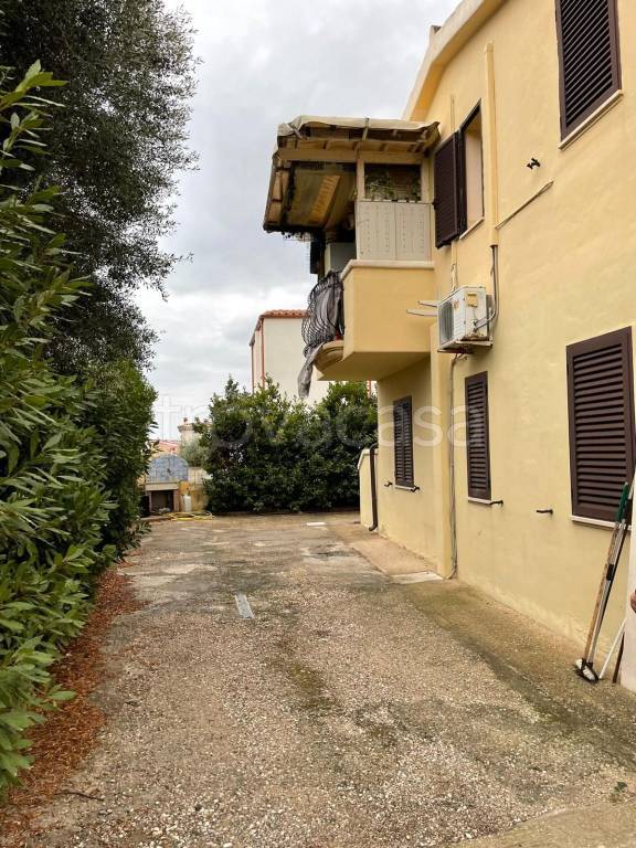 immagine annuncio 12 di 14