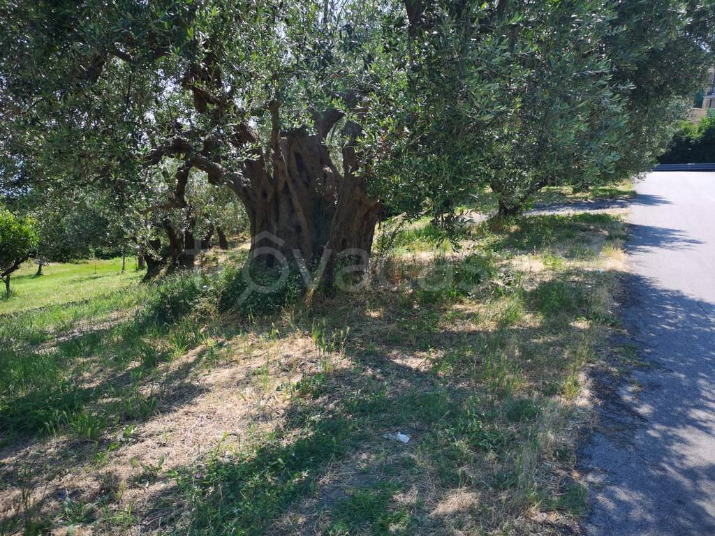 immagine annuncio 6 di 11