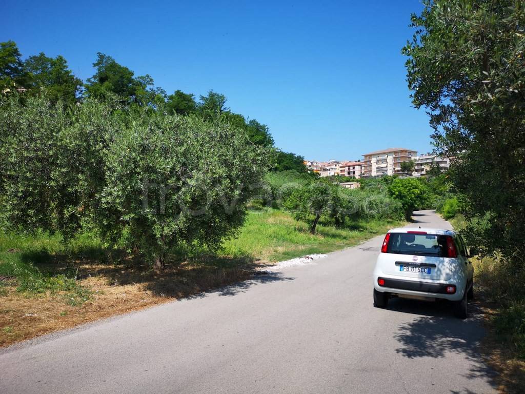 immagine annuncio 8 di 11