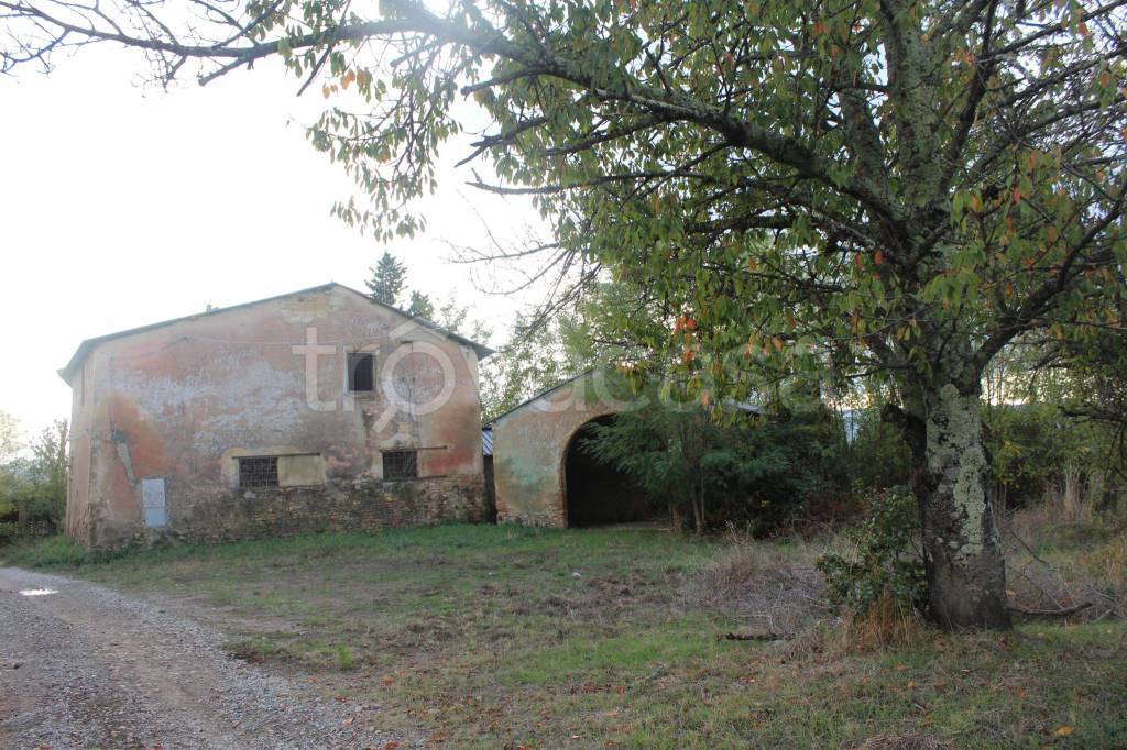 immagine annuncio 6 di 14