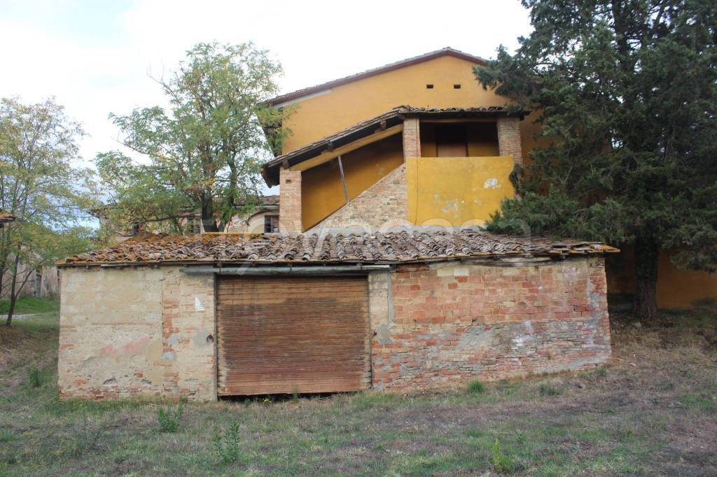 immagine annuncio 4 di 14