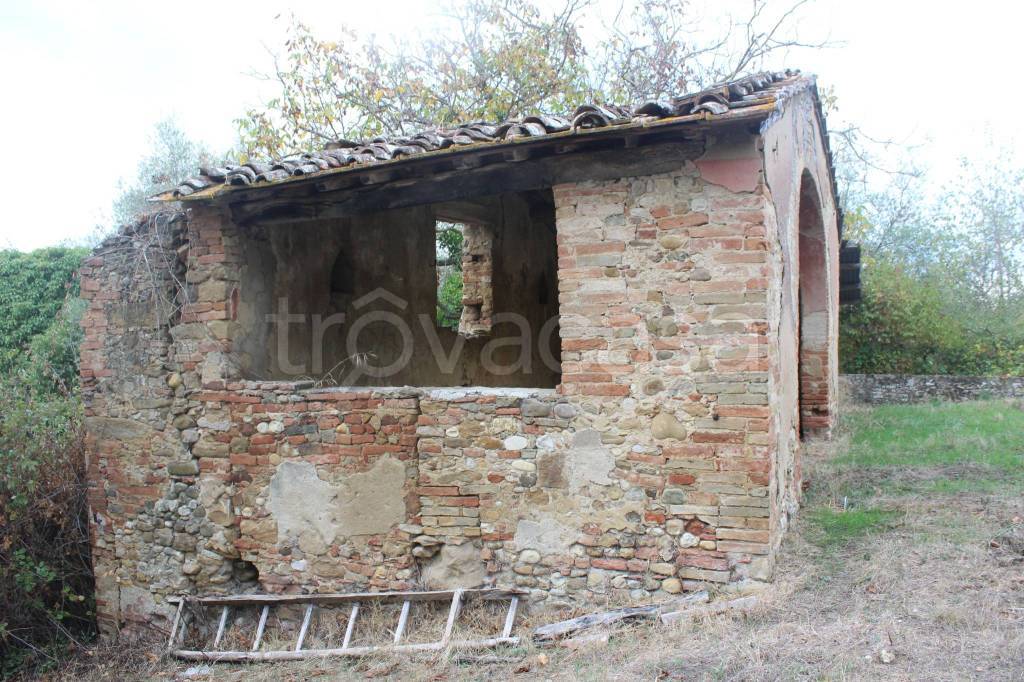 immagine annuncio 12 di 14