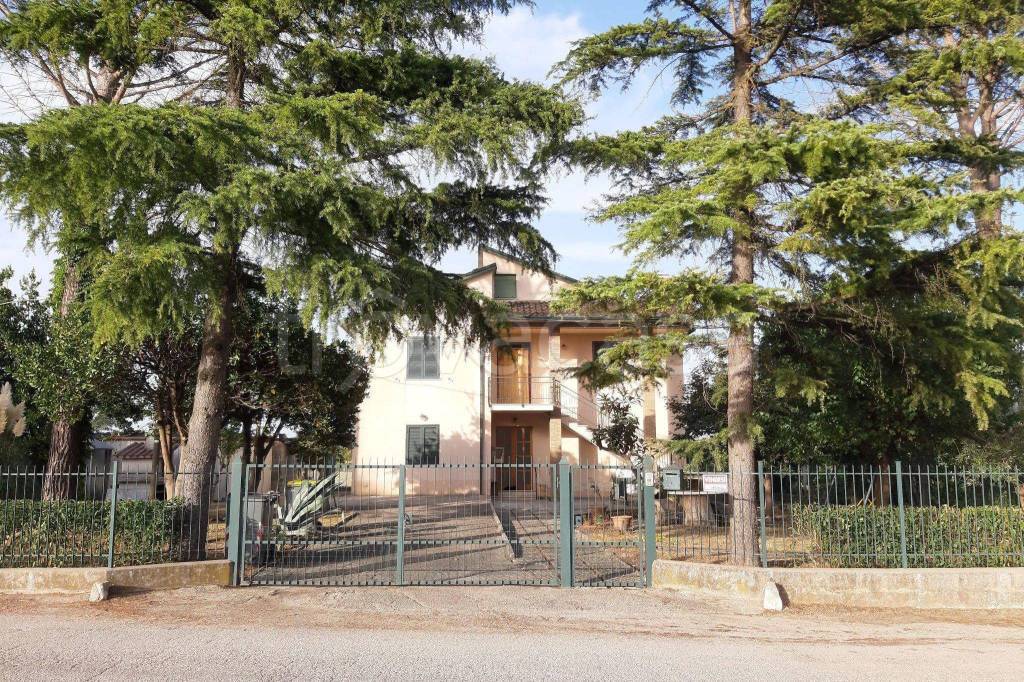 Casa Indipendente in in vendita da privato a Montefalco località Fratta di Montefalco