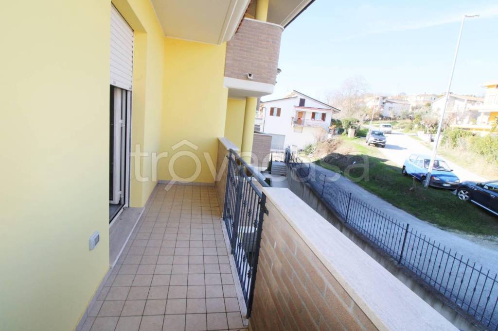 immagine annuncio 13 di 14