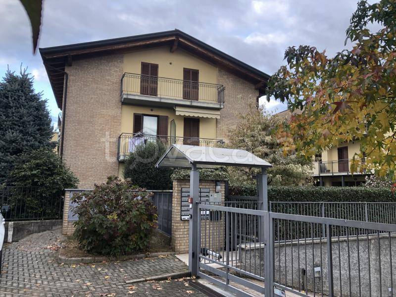 immagine annuncio 4 di 12