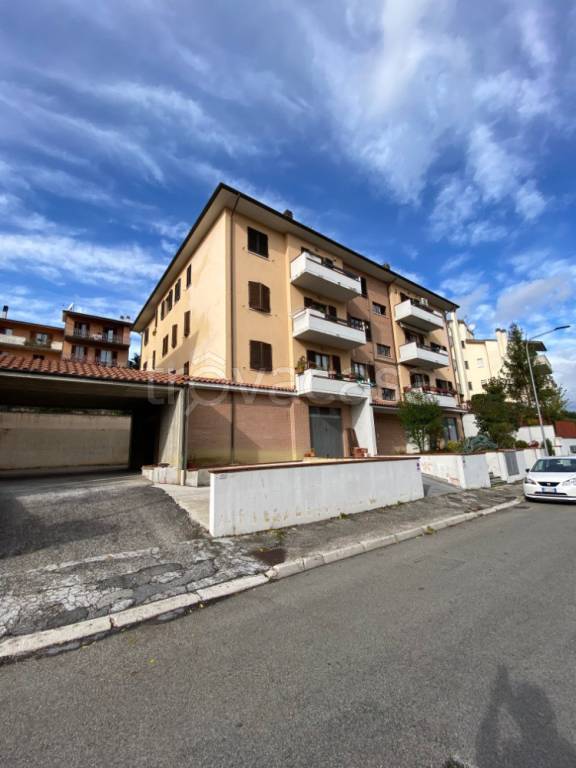 immagine annuncio 2 di 13