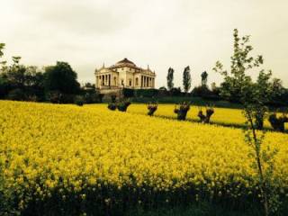 Villa in affitto a monteviale 