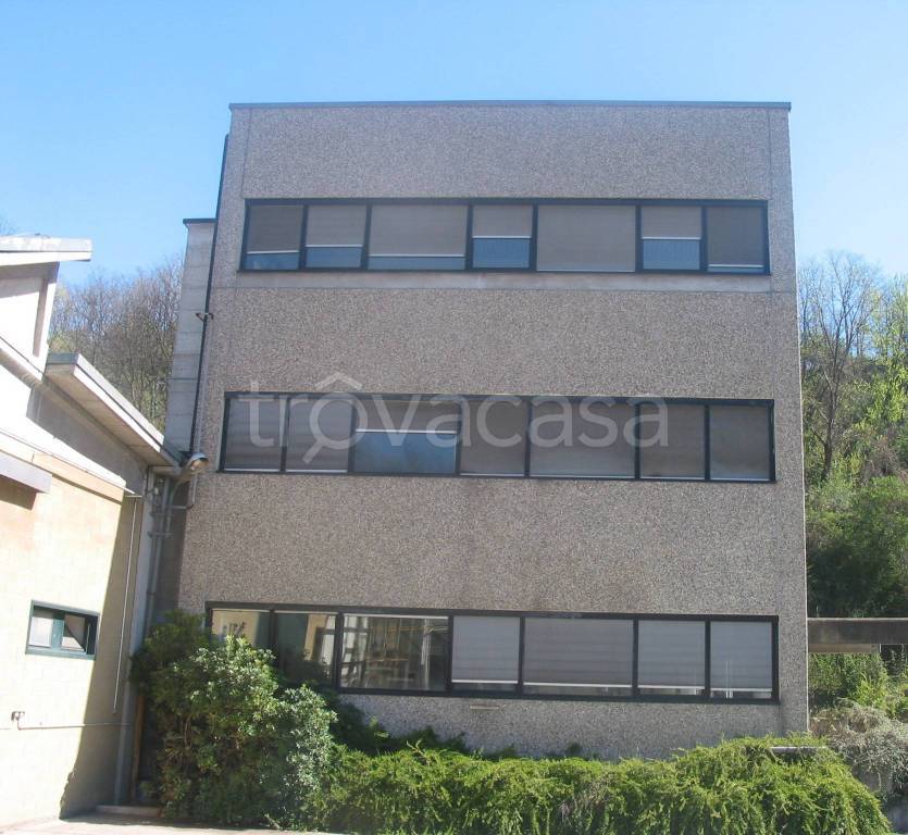 immagine annuncio 1 di 7