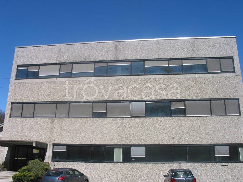 immagine annuncio 2 di 7