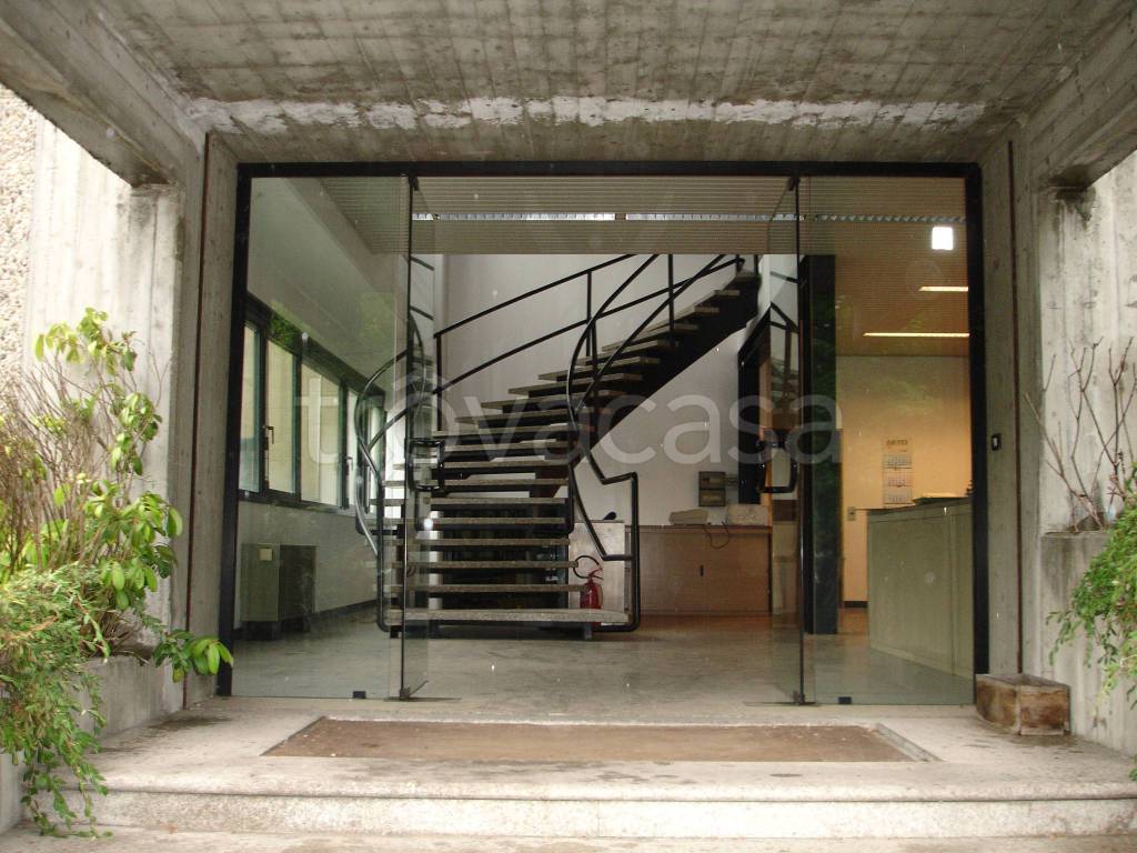 immagine annuncio 4 di 7