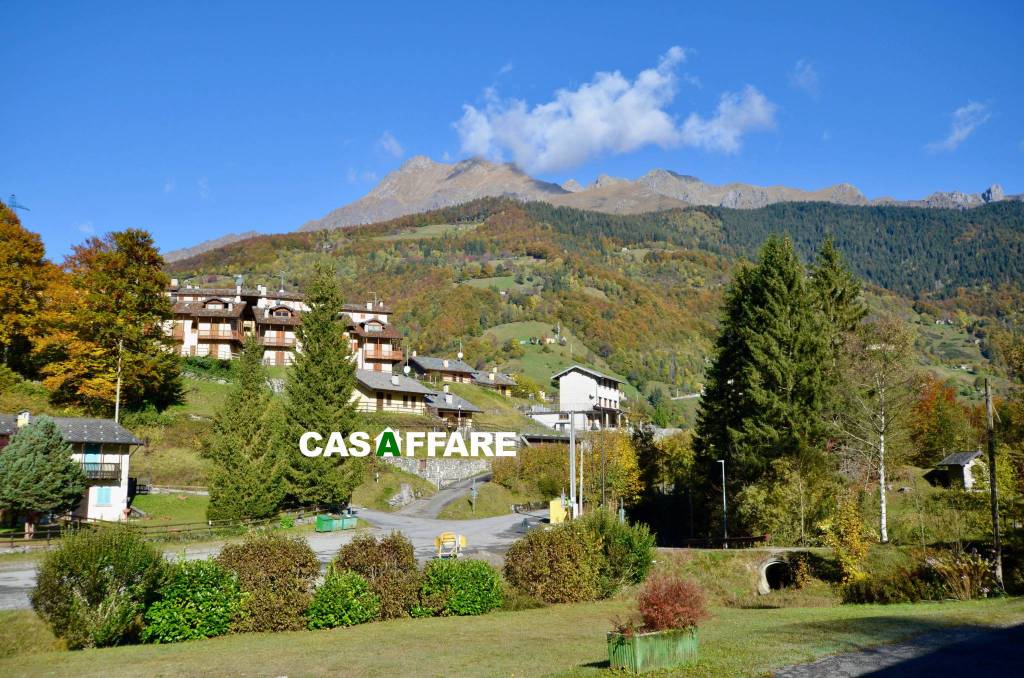 immagine annuncio 7 di 14