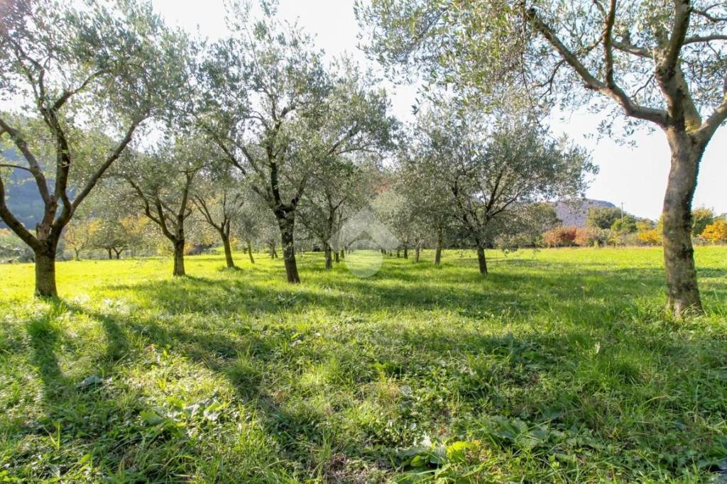 Terreno Agricolo in vendita a Gavardo via Borzina