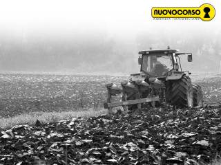 Terreno agricolo in vendita a guarda veneta 