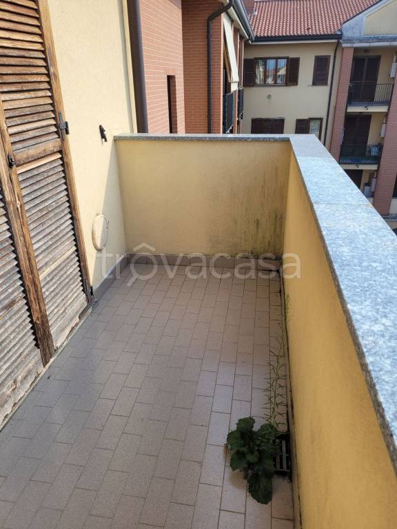 immagine annuncio 7 di 12