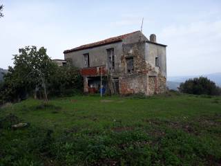 Terreno agricolo in vendita a stella cilento sp77