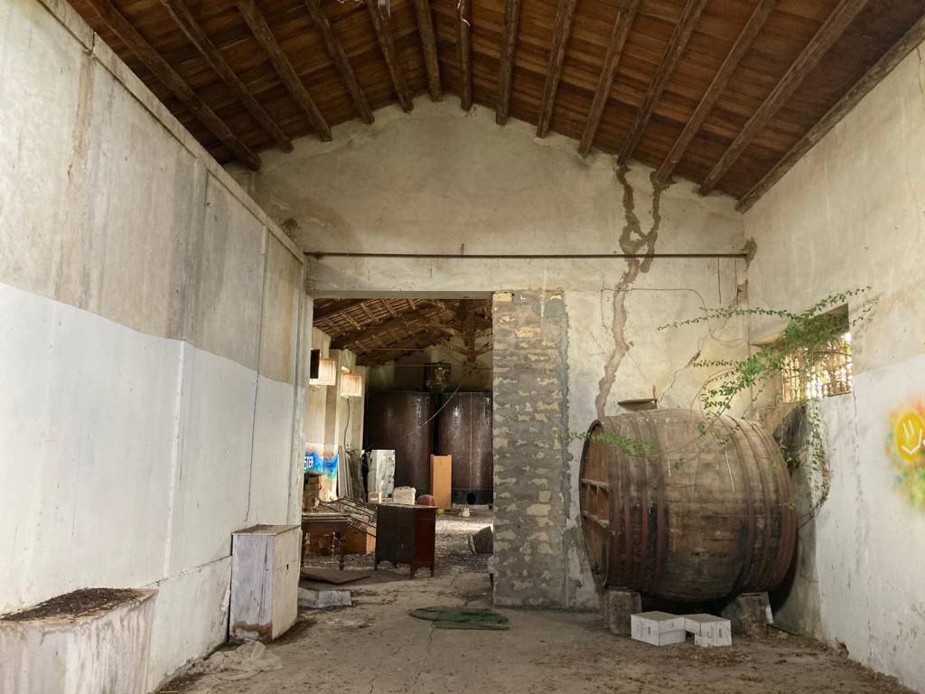 immagine annuncio 8 di 13